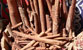 Fotogalerie Egypt Bild 16
