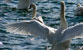 Fotogalerie Leben Bild 29
