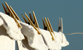 Fotogalerie Details Bild 23