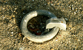 Fotogalerie Details Bild 24