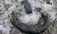Fotogalerie Details Bild 25