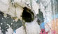 Fotogalerie Details Bild 26