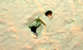 Fotogalerie Details Bild 28