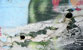 Fotogalerie Details Bild 29