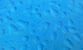 Fotogalerie Details Bild 32