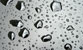Fotogalerie Details Bild 33