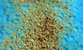 Fotogalerie Details Bild 34