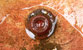 Fotogalerie Details Bild 35
