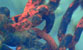 Fotogalerie Details Bild 37