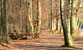 Fotogalerie Erde Bild 27