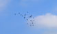 Fotogalerie Himmel Bild 22