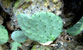Fotogalerie Herzen Bild 42