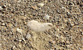 Fotogalerie Herzen Bild 43
