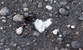 Fotogalerie Herzen Bild 46
