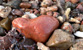 Fotogalerie Herzen Bild 55