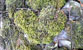 Fotogalerie Herzen Bild 62