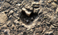 Fotogalerie Herzen Bild 63