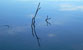 Fotogalerie Wasser Bild 2