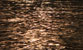 Fotogalerie Wasser Bild 5