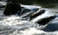 Fotogalerie Wasser Bild 16