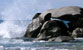 Fotogalerie Wasser Bild 19